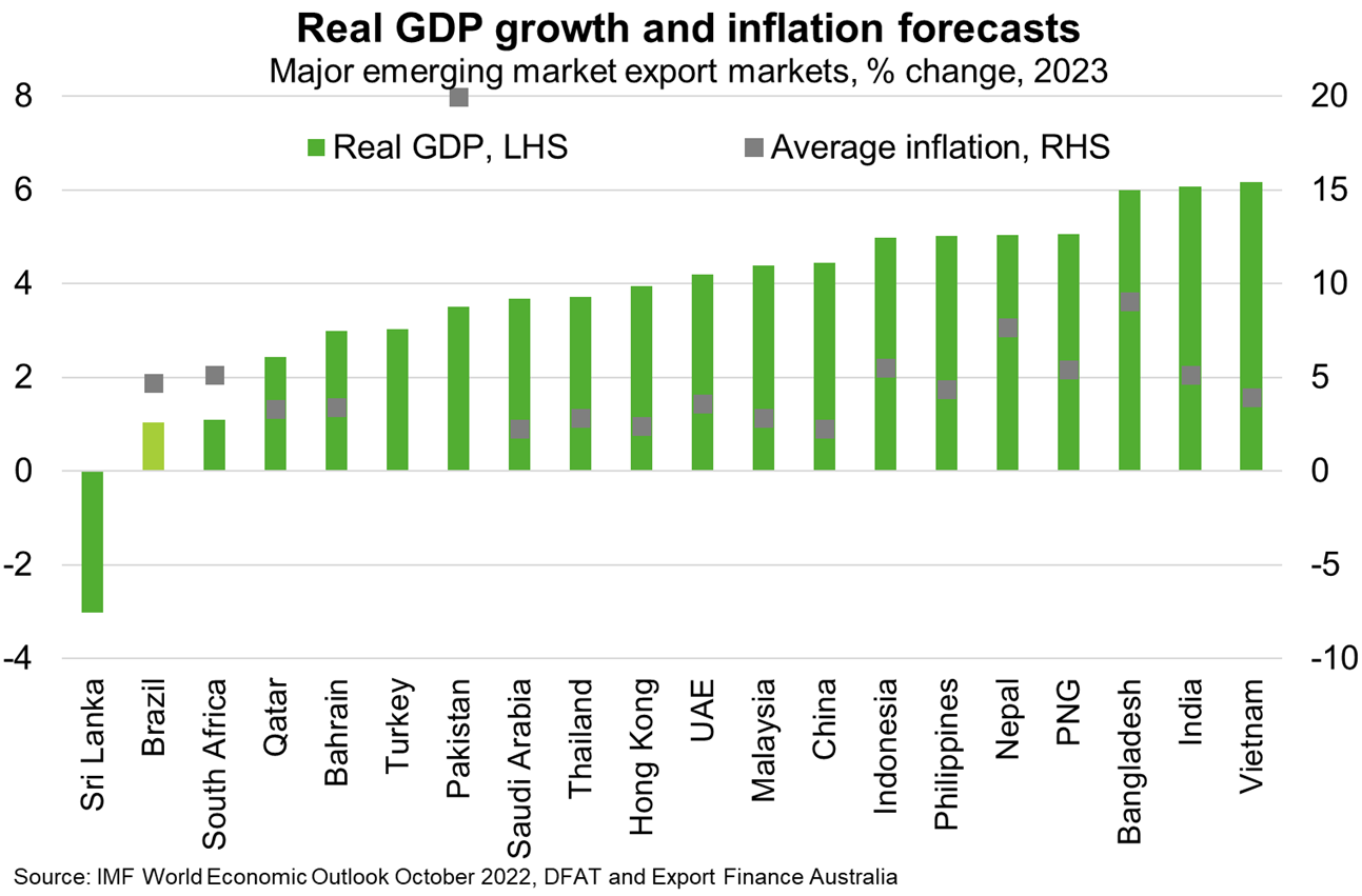 Column graph shows real GDP growth an inflation forecasts for major emerging export markets by % change in 2023. Text above chart discusses findings. 