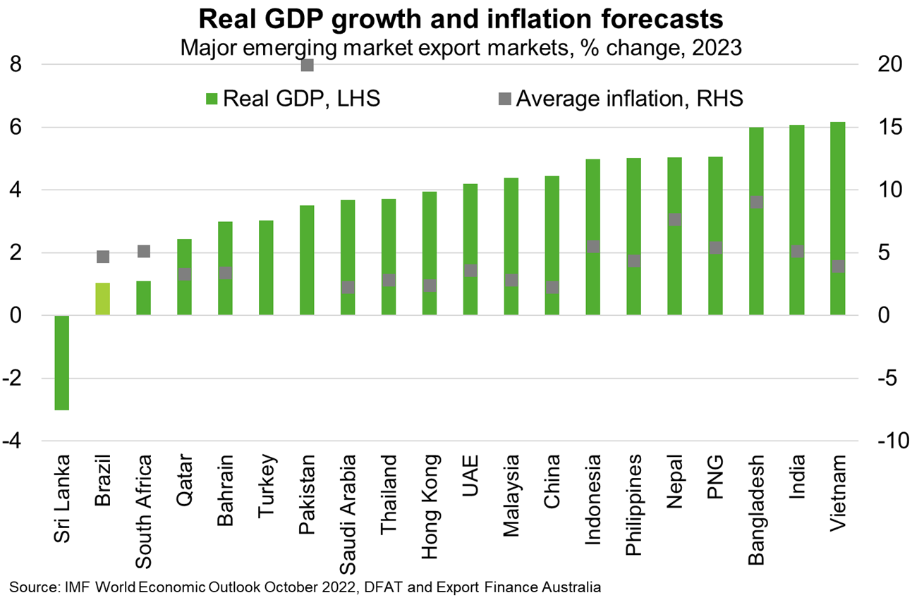 Column graph shows real GDP growth an inflation forecasts for major emerging export markets by % change in 2023. Text above chart discusses findings.