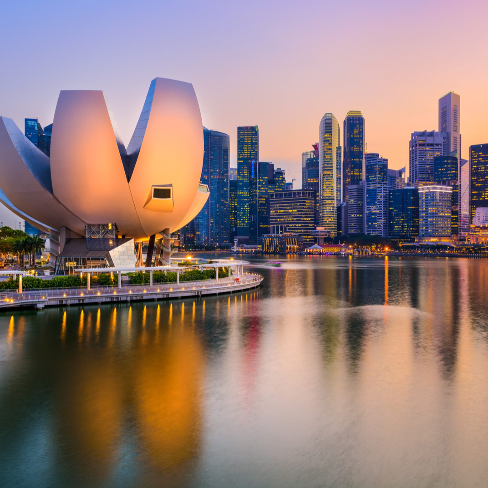 World Risk Developments December 2020