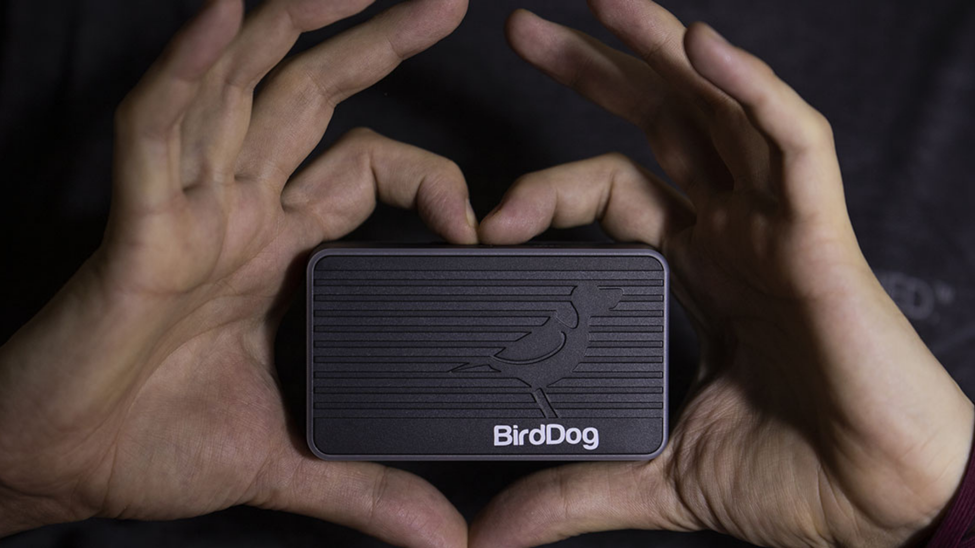 Birddog 1920X1080