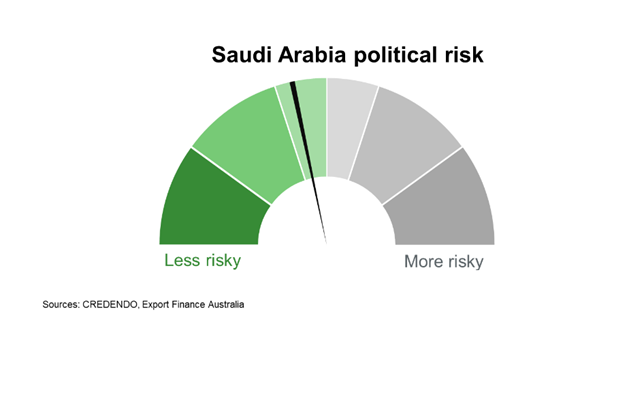 Political Risk