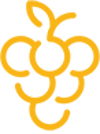 Solution Icon1
